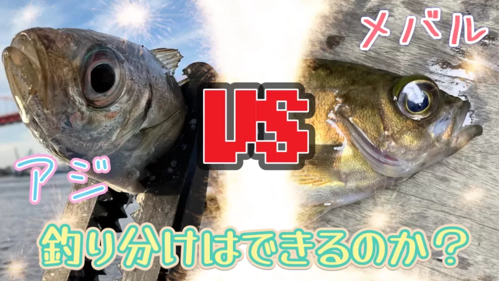 アジとメバルは釣り分けられるの？ よくある疑問に考察も交えてお答えします！ | アジング専門/アジンガーのたまりば