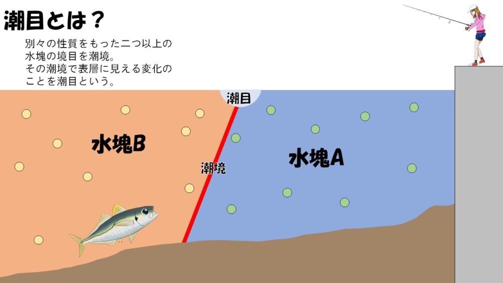 アジングの釣果をさらに上げるポイント 潮目について正しい認識を身に着けよう | アジング専門/アジンガーのたまりば