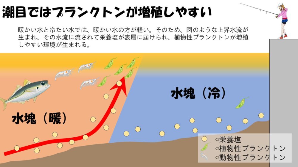 アジングの釣果をさらに上げるポイント 潮目について正しい認識を身に着けよう | アジング専門/アジンガーのたまりば