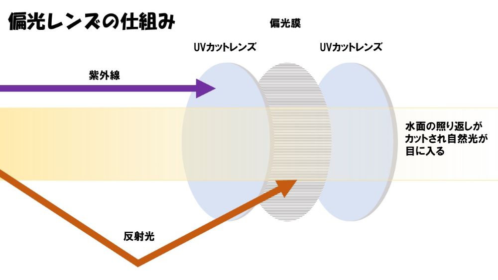 偏光グラスの仕組み