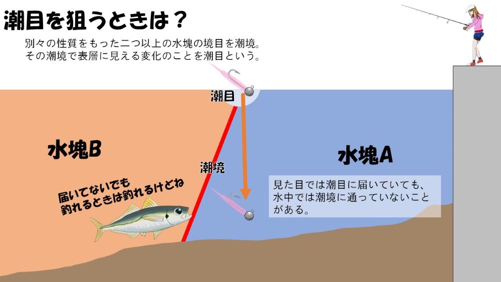 キャロライナリグで狙う潮目