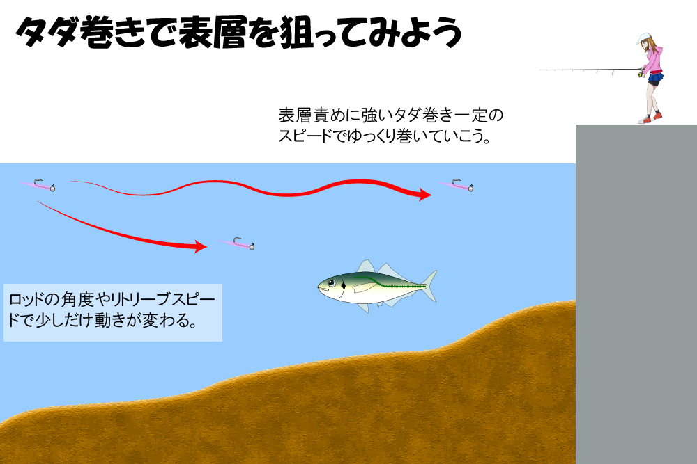 アジングタダ巻きで表層を狙ってみよう。