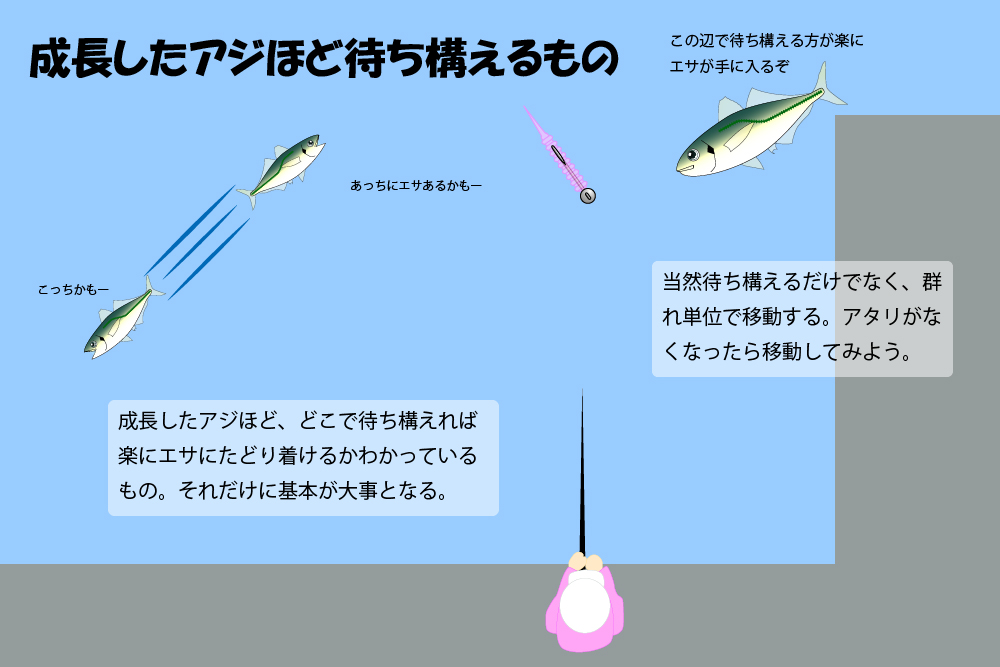 アジング。アジは大きくなるほど動きが落ち着く