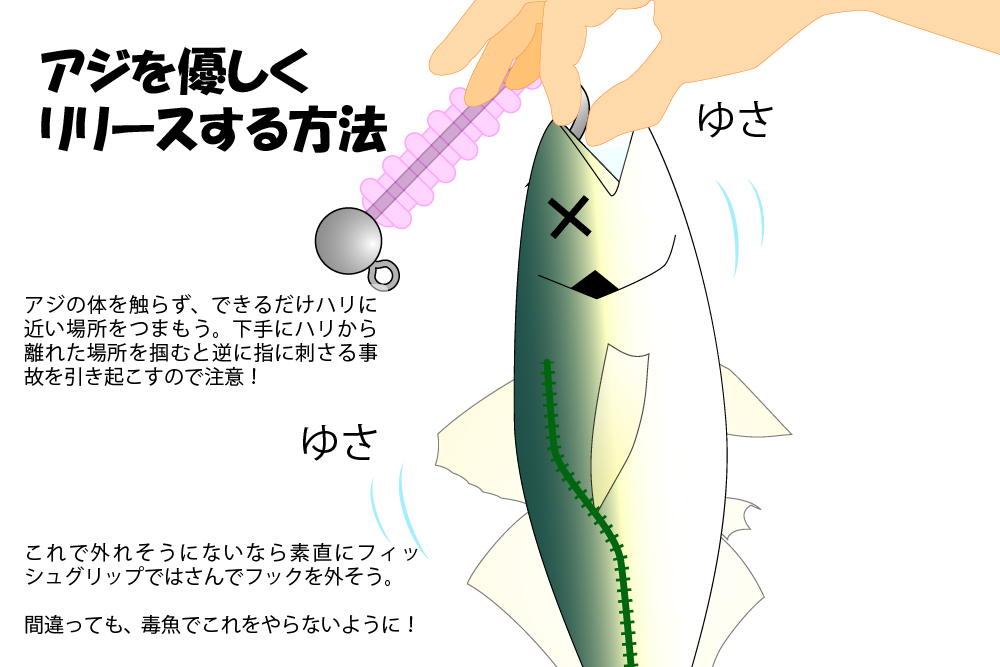 アジを優しくリリースする方法