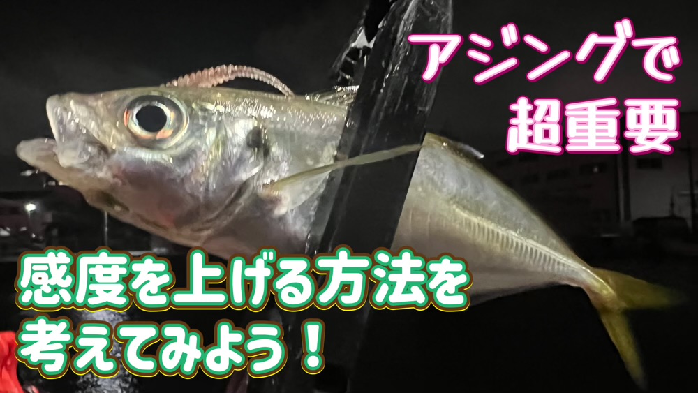 アジングで感度を上げる方法