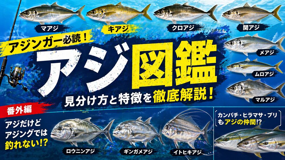 アジ図鑑